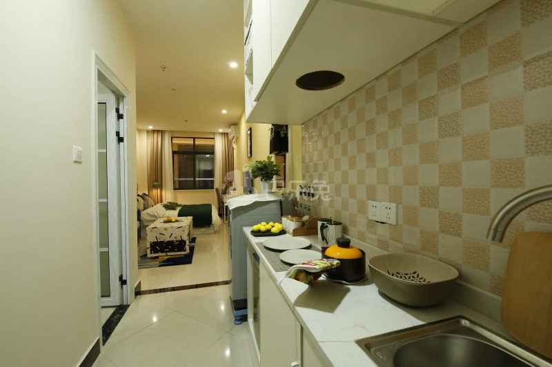 乐乎城市青年社区(东晓南河畔店)4912206厨房图4