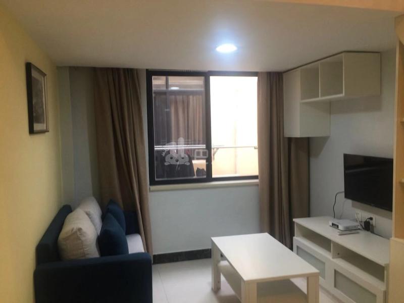 乐乎城市青年社区(东晓南河畔店)4912343客厅图7