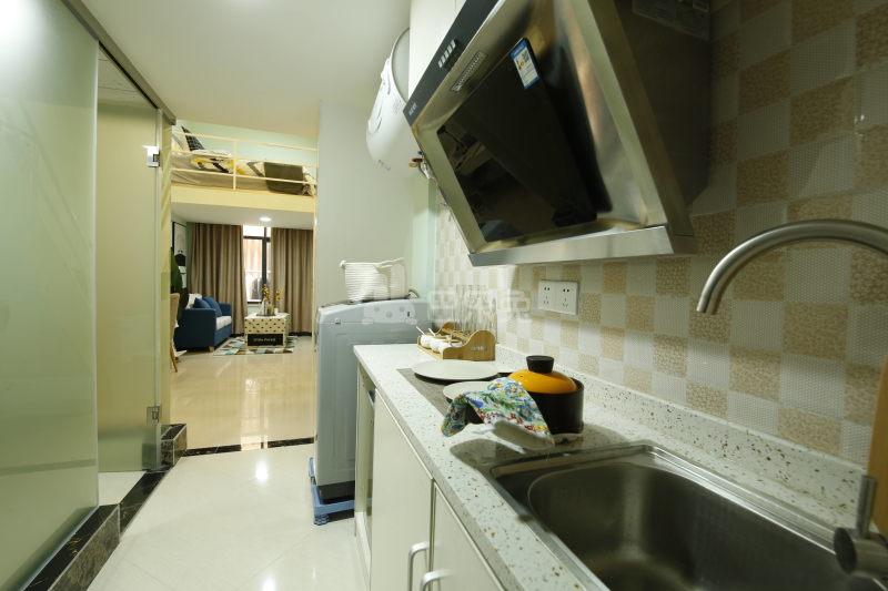 乐乎城市青年社区(东晓南河畔店)4912369厨房图9