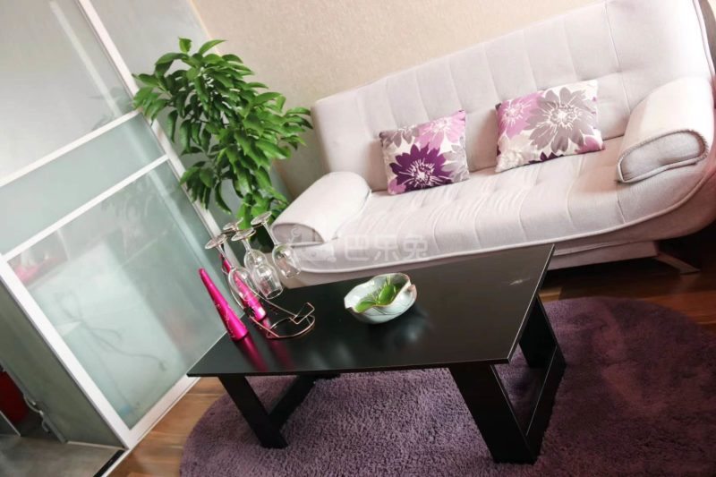 家宸公寓4918242客厅图2