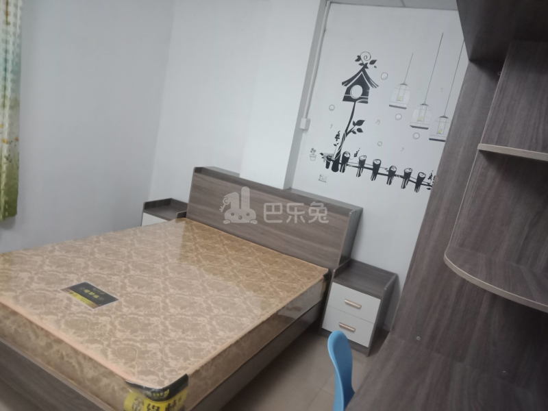 龙洞河陂南8巷2号4919551卧室图3