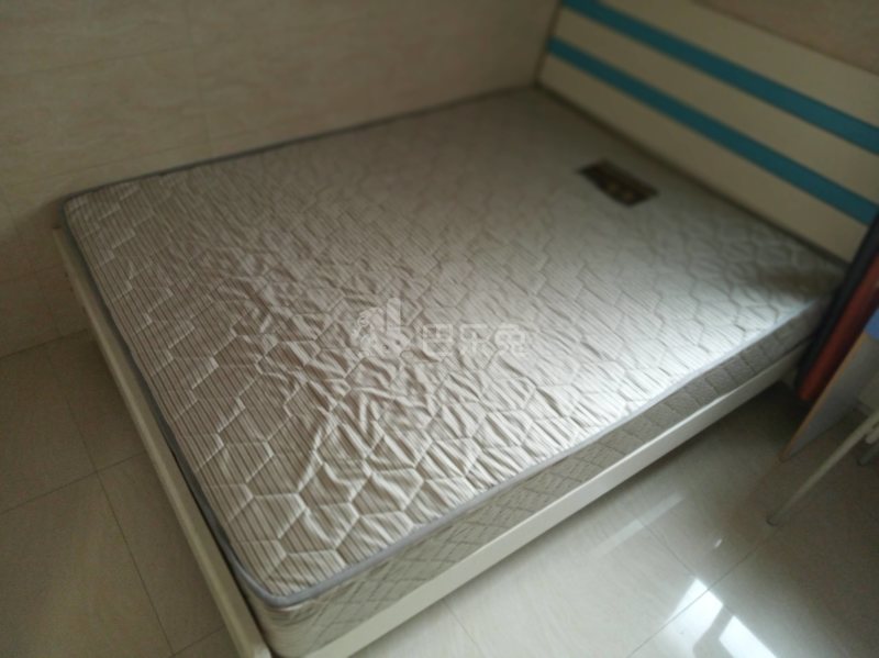 礼村电梯公寓（大石礼村居仁街3号）4920866卧室图2