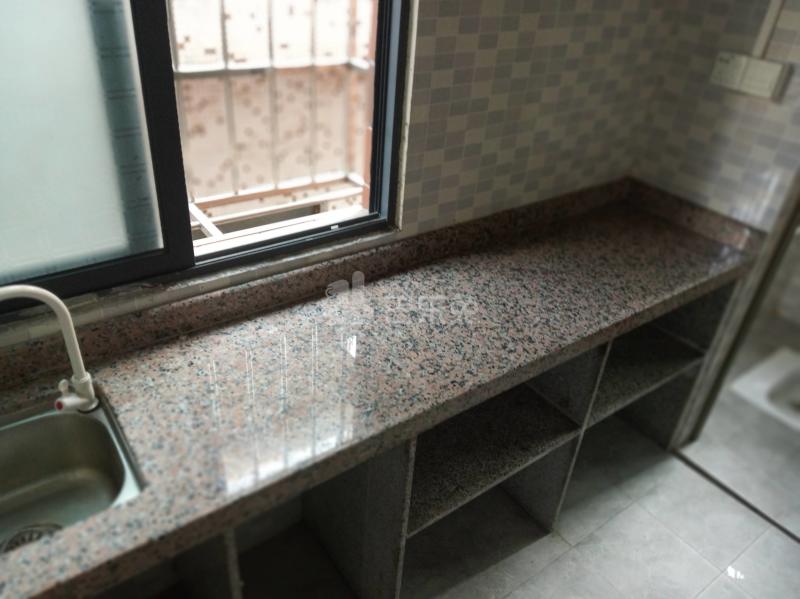 礼村电梯公寓（大石礼村居仁街3号）4920866厨房图5