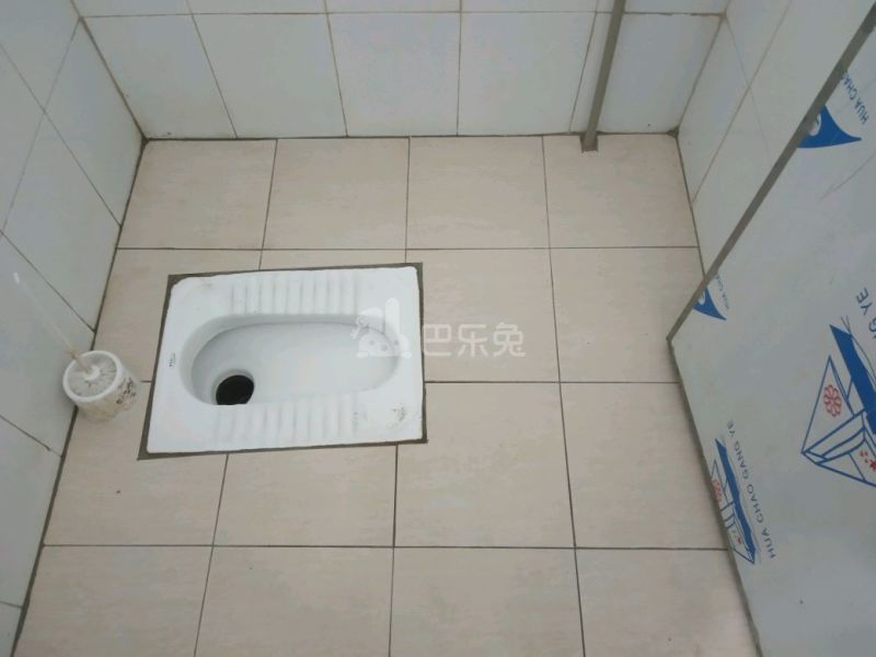 住家（桂田村西约八巷4号）4925258卫生间图11