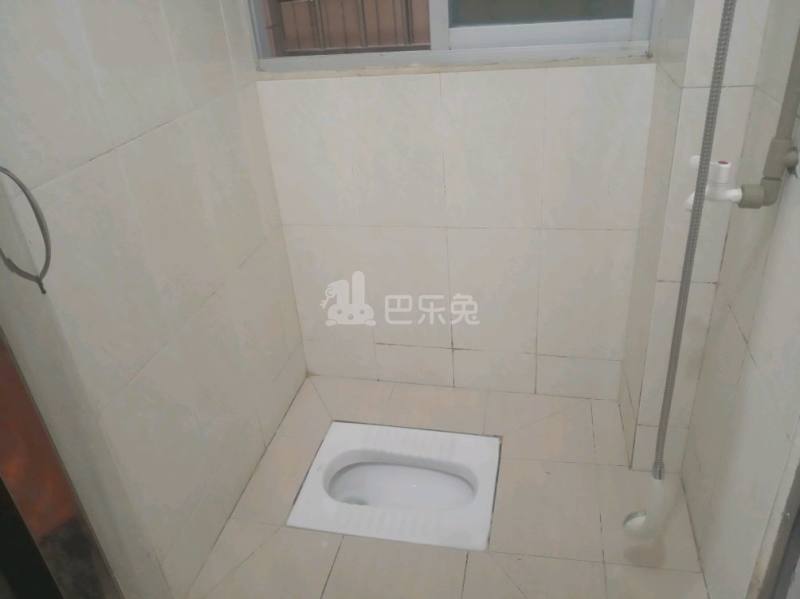 住家（桂田村西约八巷4号）4925260卫生间图8