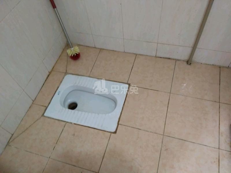 住家（桂田村西约后街十巷13号）4925302卫生间图6