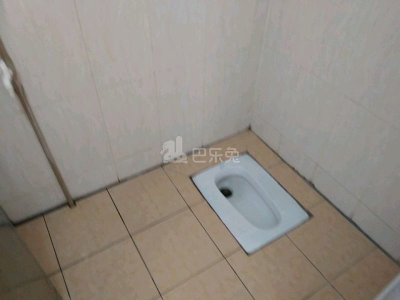 住家（桂田村西约后街十巷13号）4925303卫生间图7