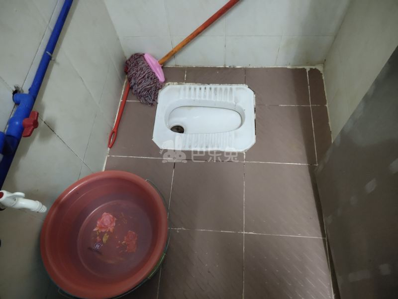 住家（桂田村西约三巷9号）4925356卫生间图10