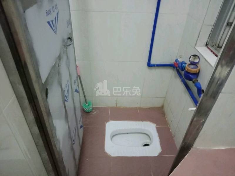 住家（桂田村西约三巷9号）4925358卫生间图8