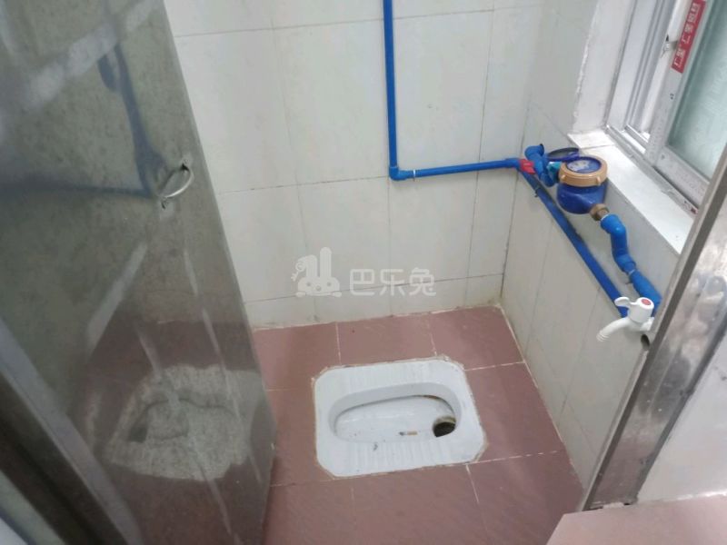 住家（桂田村西约三巷9号）4925366卫生间图3