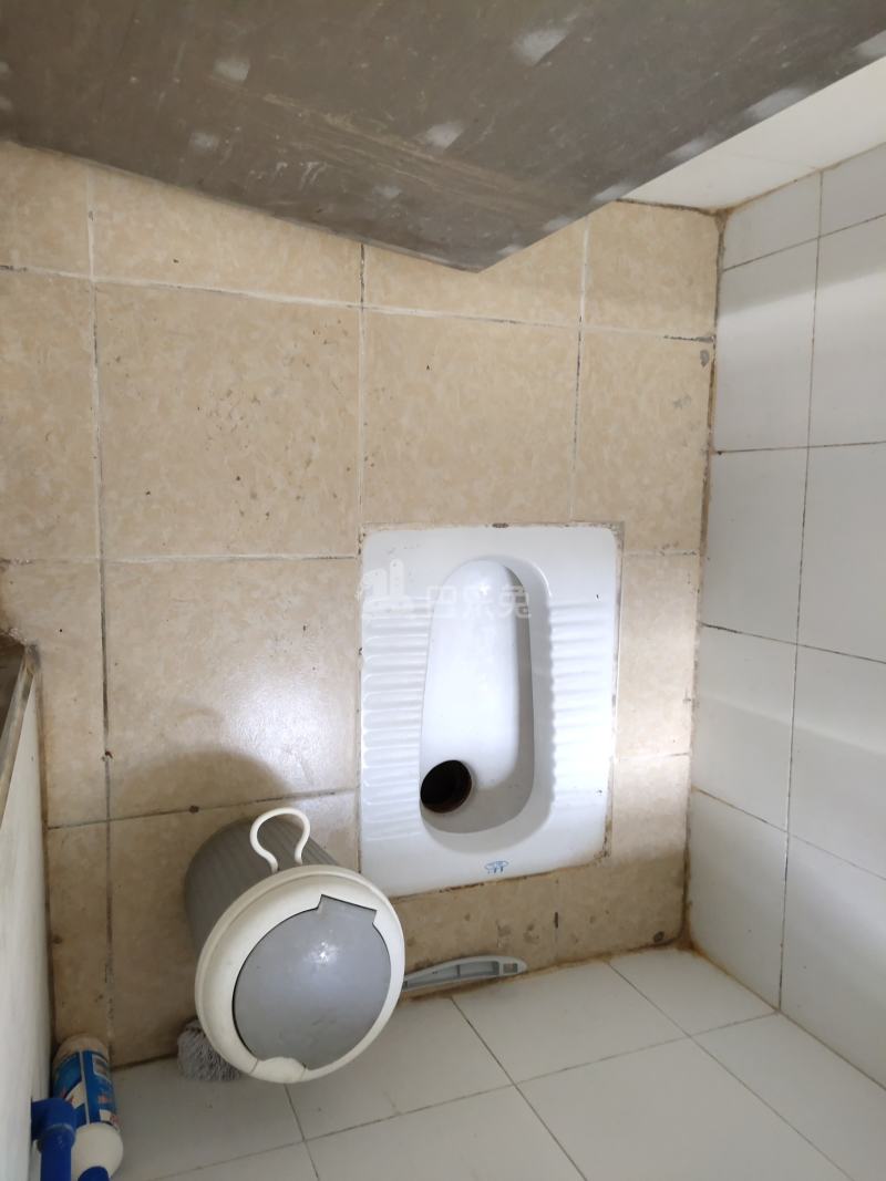 住家（桂田村西约五巷6号）4925389卫生间图8