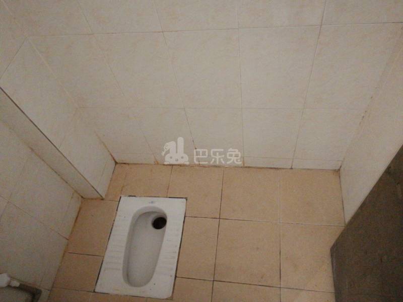 住家（桂田村西约五巷13-3号）4925418卫生间图11