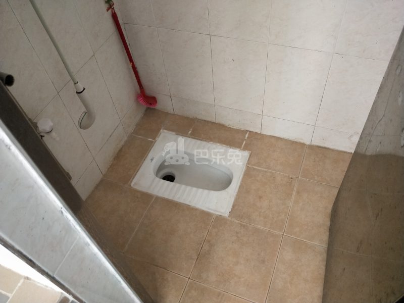 住家（桂田村西约五巷13-3号）4925422卫生间图7