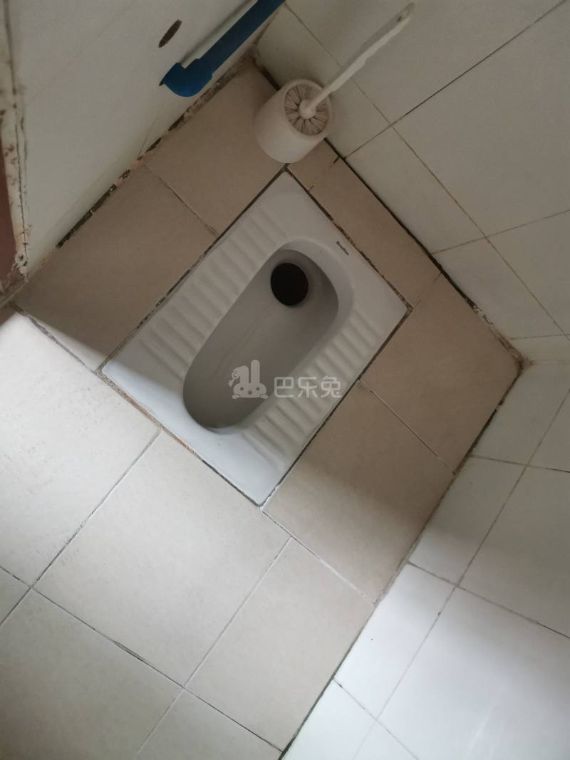 住家（旧市头村东约九巷2号）4925457卫生间图8