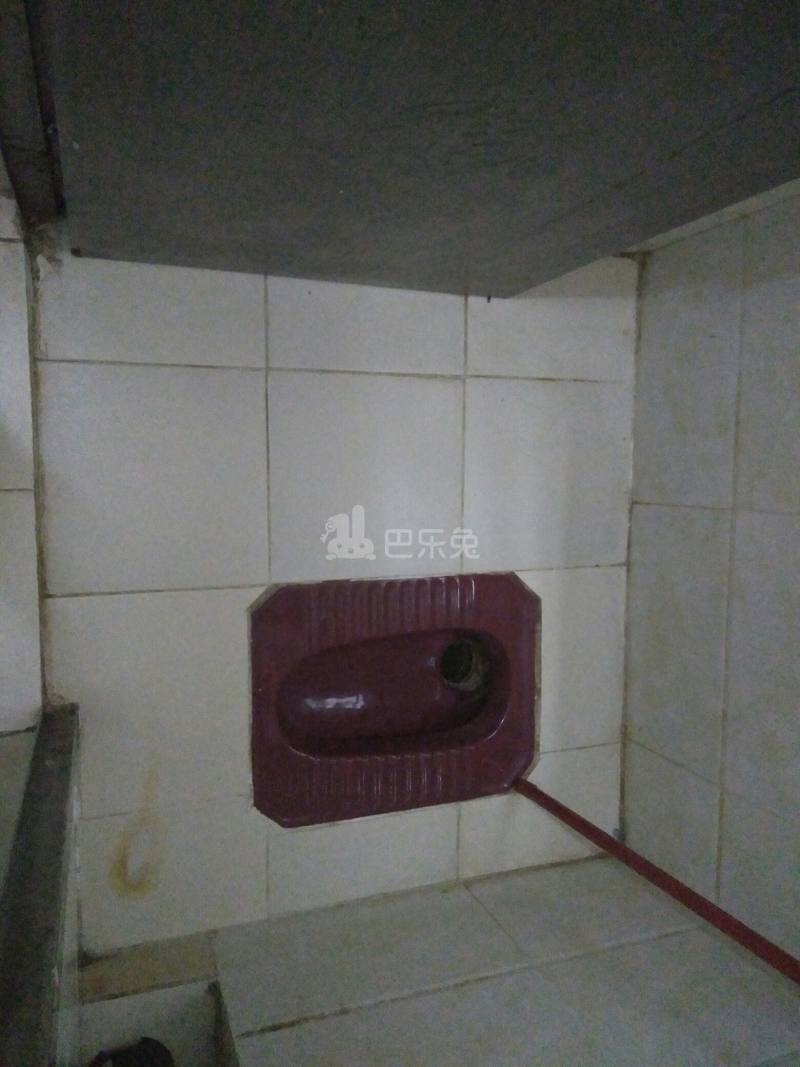 住家（旧市头村南约四巷9号）4925559卫生间图9