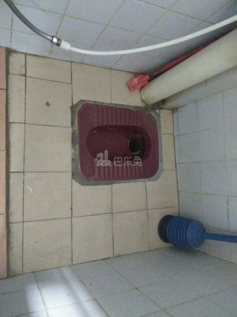 住家（旧市头村南约五巷13号）4925754卫生间图11