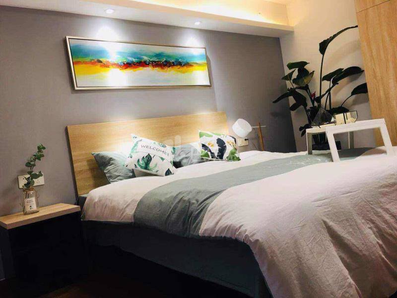 A+公寓（领袖店）4928443卧室图0