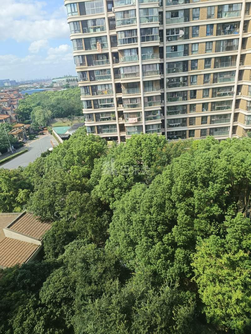 飘鹰锦和花园1期4933126周边环境图7