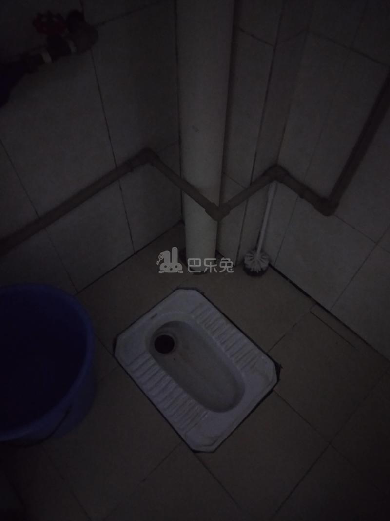 旅途公寓（大石礼村中路30巷8号）4944125卫生间图37