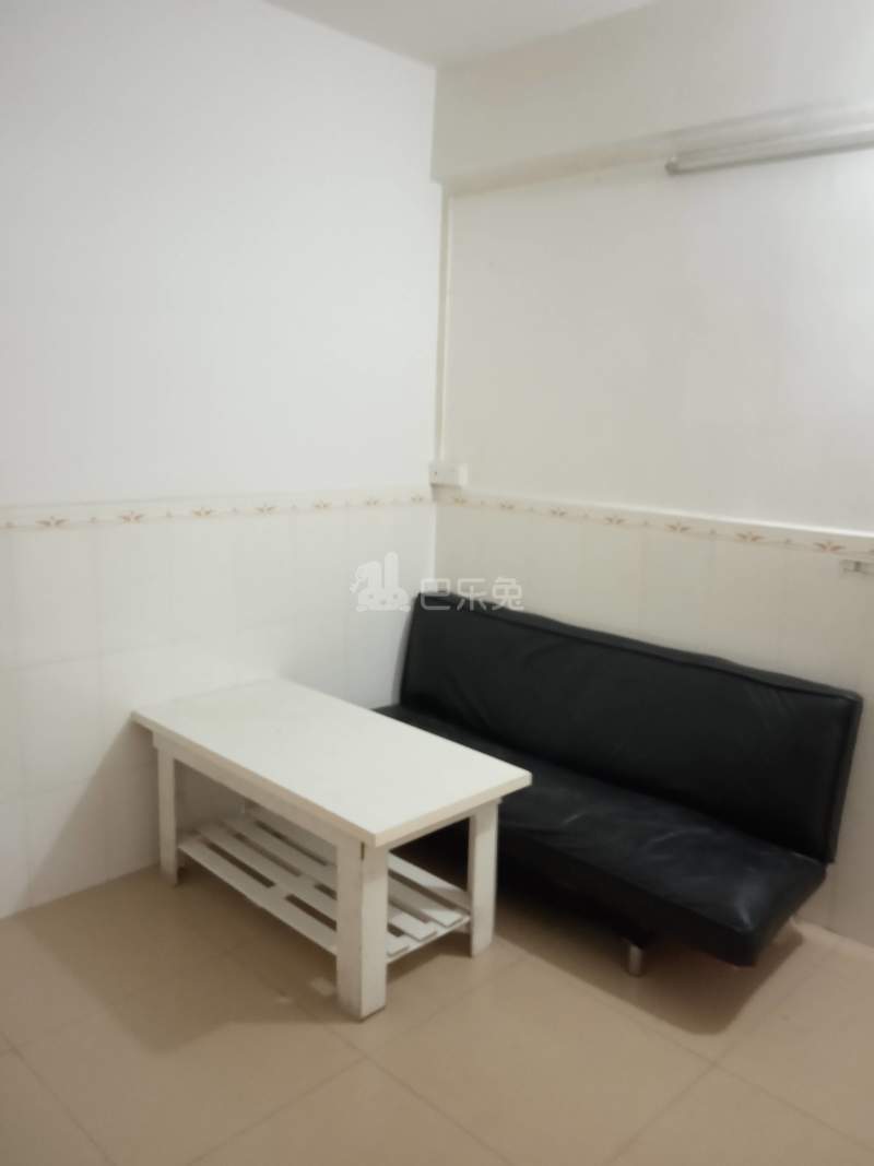 龙洞环村北街51号4948131客厅图8