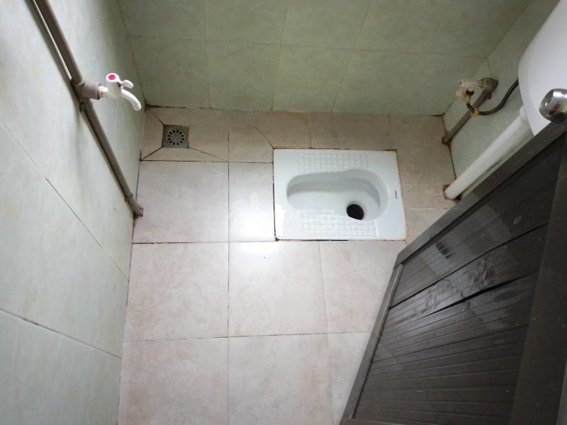 礼村西衢街19号4953194卫生间图6