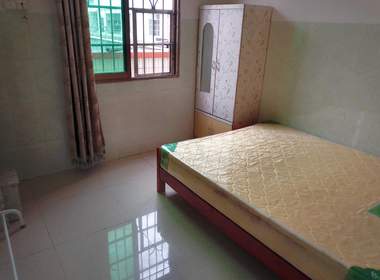 礼村西衢街19号 