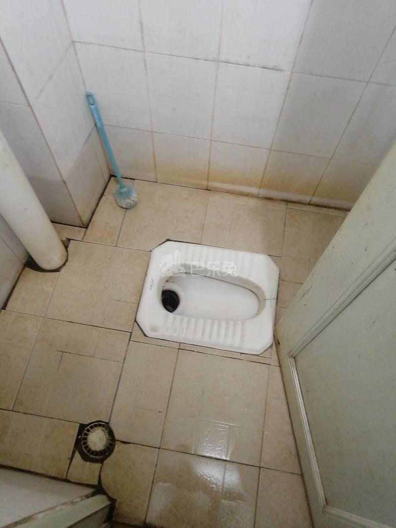 黄村南胜里上一巷横5号4960677卫生间图7