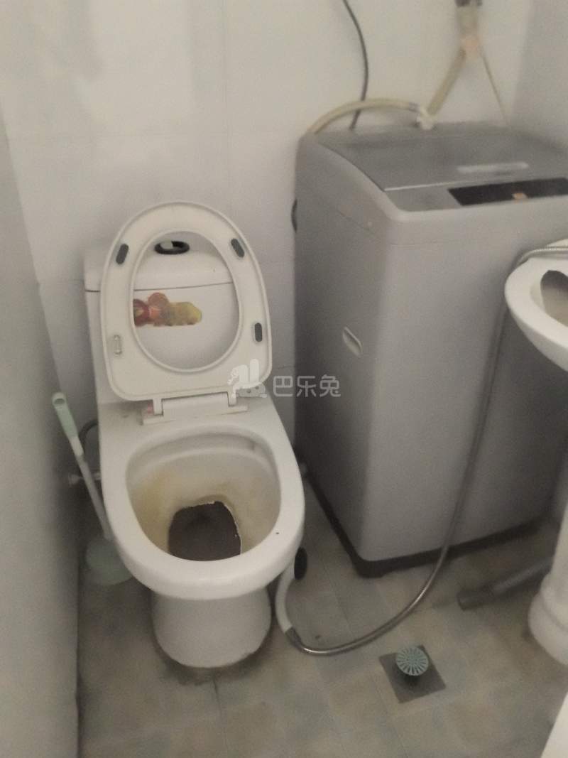 桃苑小区4961181卫生间图4