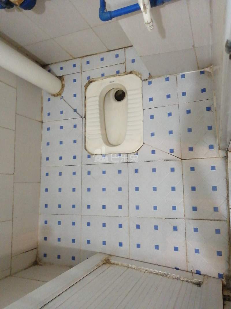 黄村石桥头下六巷7号4981397卫生间图10