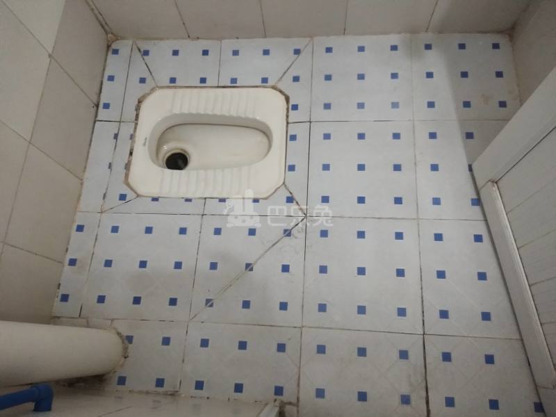 黄村石桥头下六巷7号4981401卫生间图11