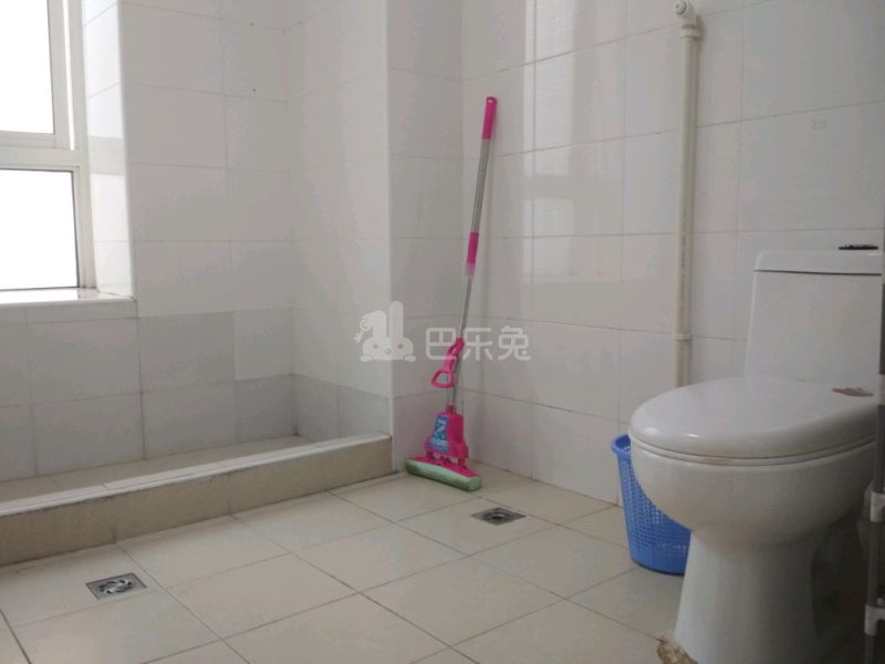 盛世年华4986450卫生间图8