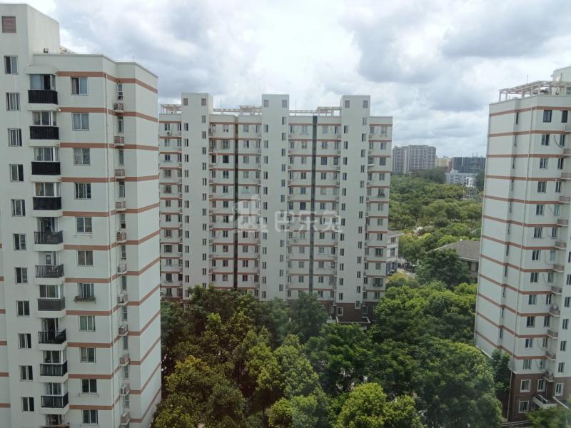 高行绿洲六期502408周边环境图11