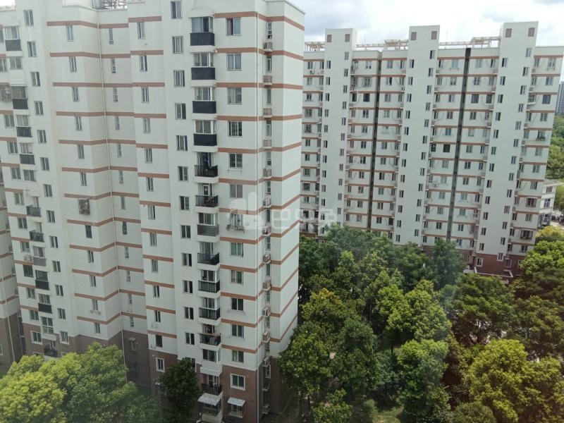 高行绿洲六期502408周边环境图12