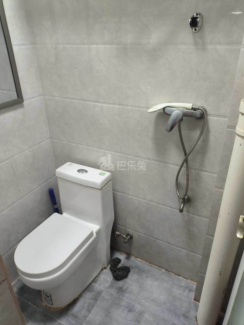江夏村西头大街1号5030075卫生间图6