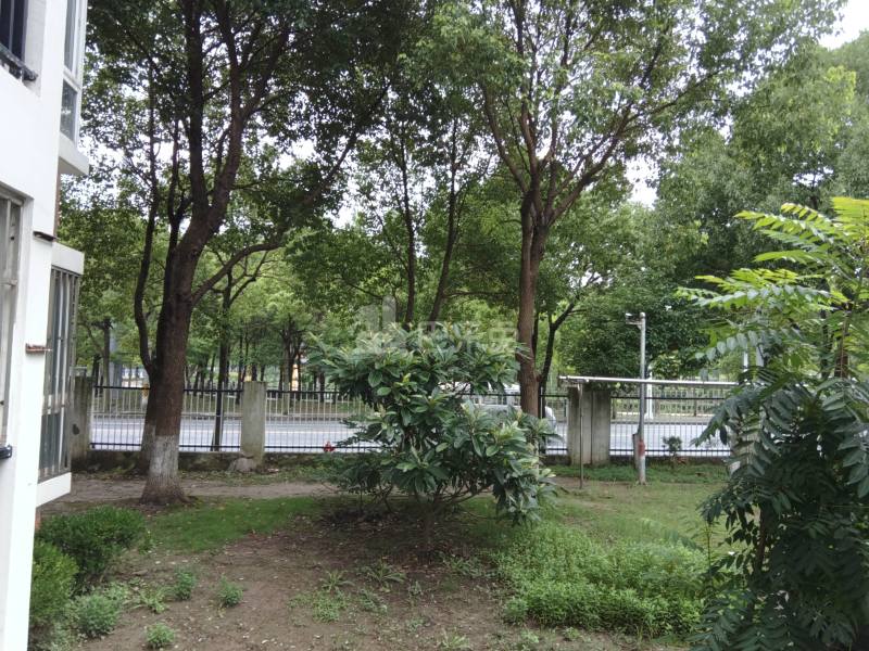 高行绿洲六期505487周边环境图14