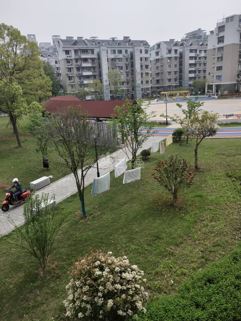 迎春北苑5103903周边环境图12