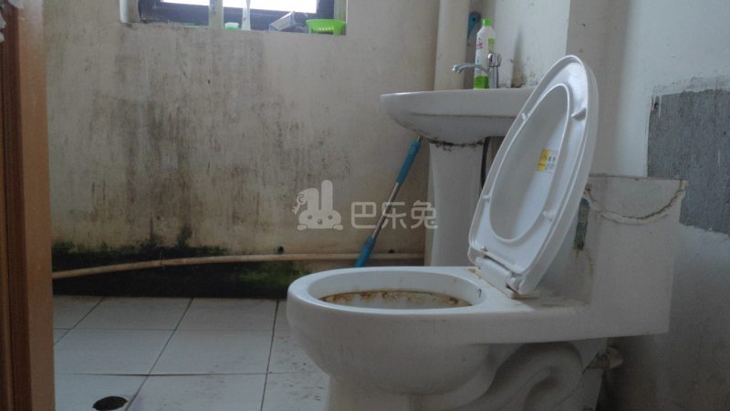 和欣国际花园516859卫生间图7