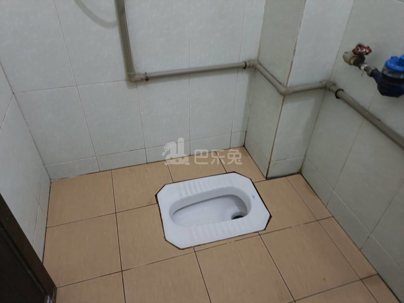 礼村新楼巷16号5174363卫生间图6