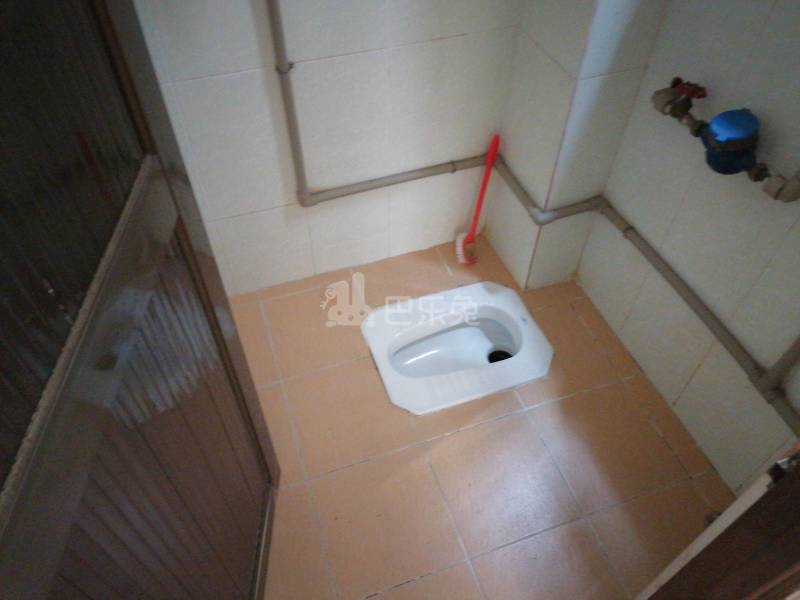 礼村新楼巷16号5174364卫生间图13