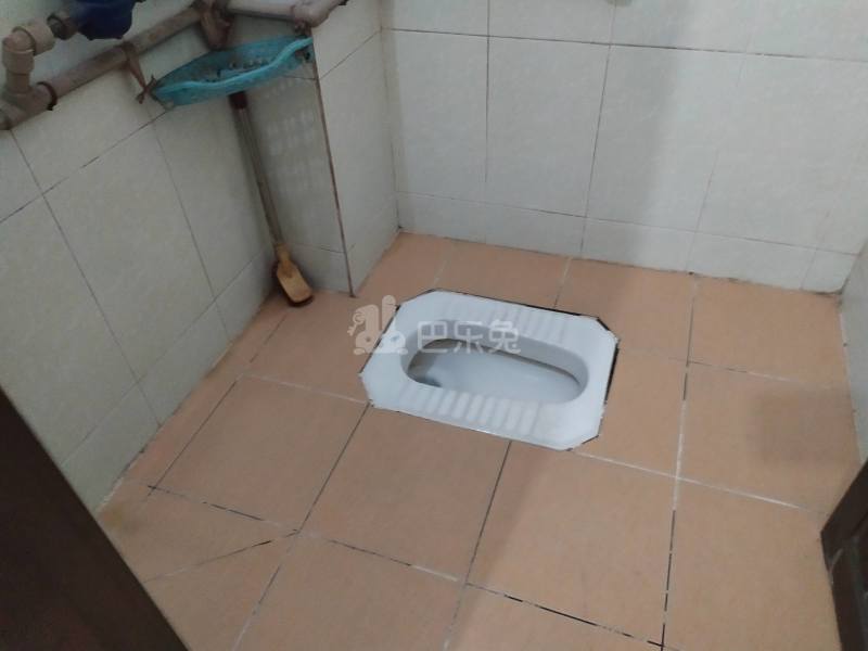 礼村新楼巷16号5174364卫生间图12