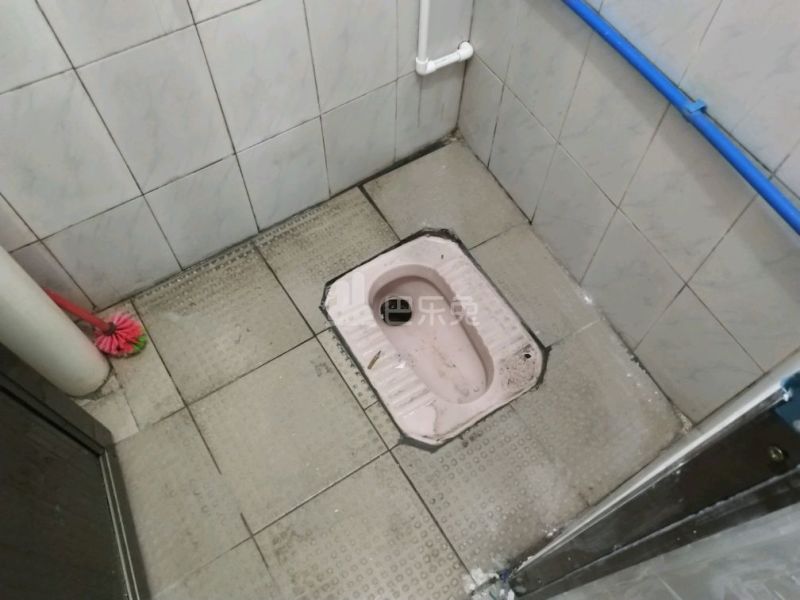 榕树头路北巷10号B栋5176054卫生间图5