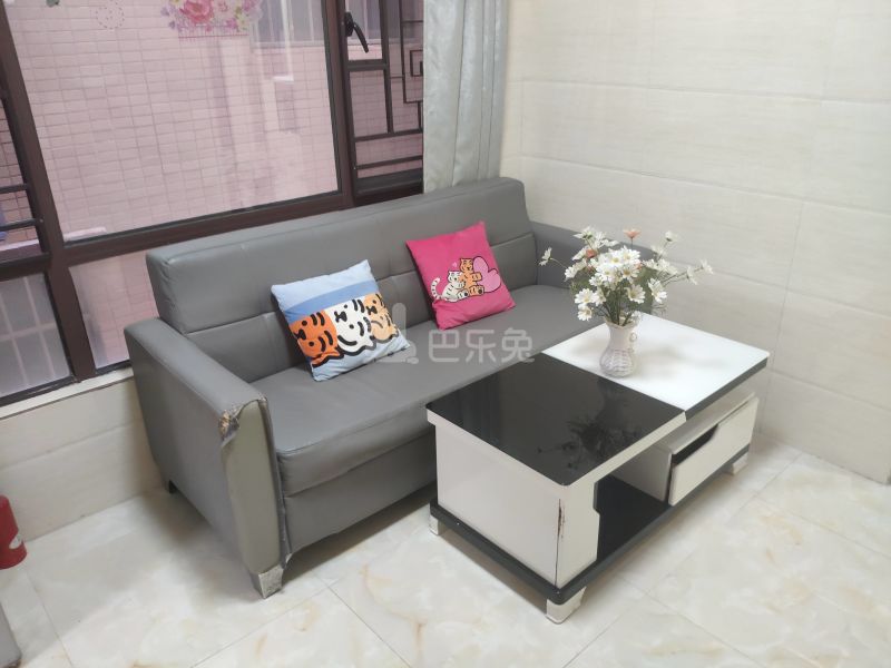 塘田街六巷12号5186279客厅图4