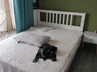 保利叶上海北区（一期） 