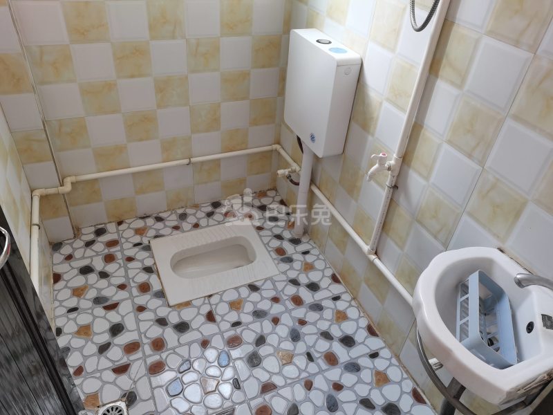 大石礼村西路13号5223844卫生间图24