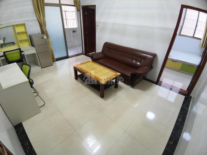 大石礼村西路13号5223844客厅图12