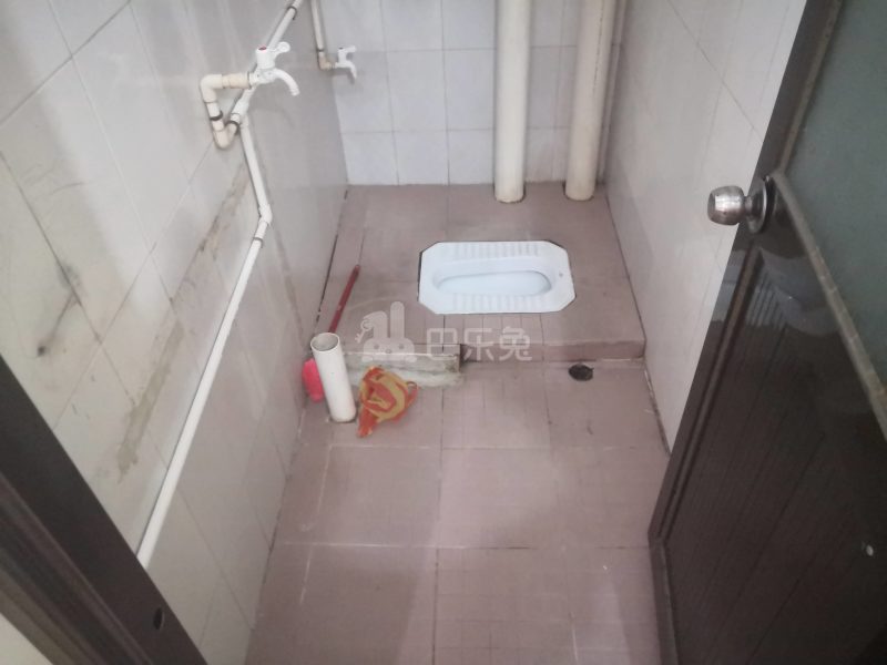 大石礼村西路13号之一5223894卫生间图7