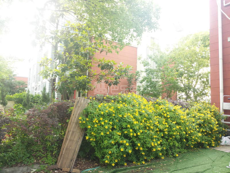 锦秋花园七期5190153周边环境图1