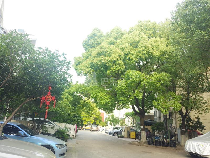 锦秋花园七期5190153周边环境图2