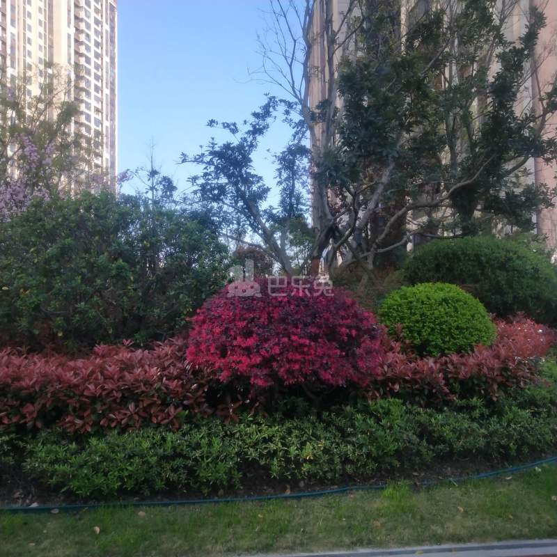 中骏钱塘御景5241253周边环境图6