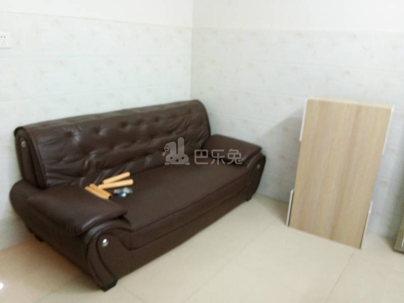 棠溪村岗贝西一巷18号5244033客厅图4